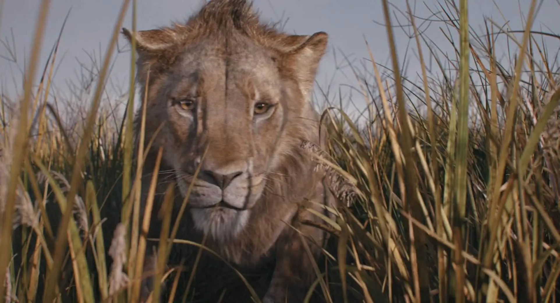 Mufasa: The Lion King (2024) Hindi WEB-DL 720p – 480p – 1080p Screenshot