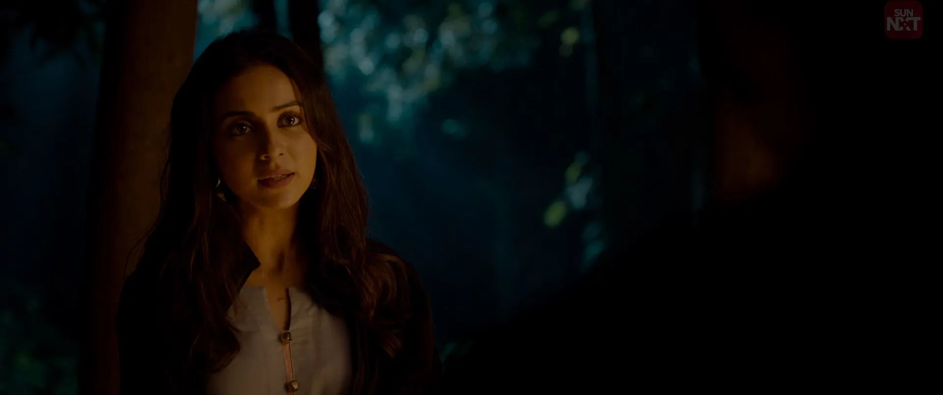 Ayalaan 2024 Hindi Dual Audio WEB-DL 720p - 480p - 1080p Screenshot