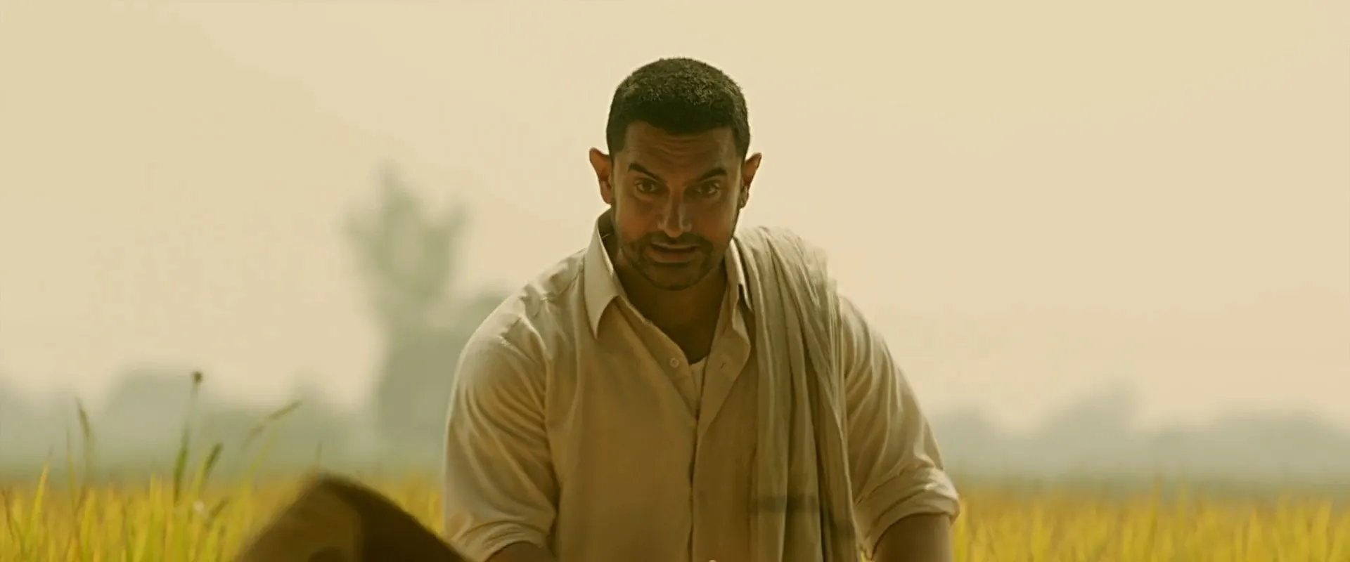 Dangal 2016 DESI DVDRip x264 AC3 [1.5 GB] Full Screenshot