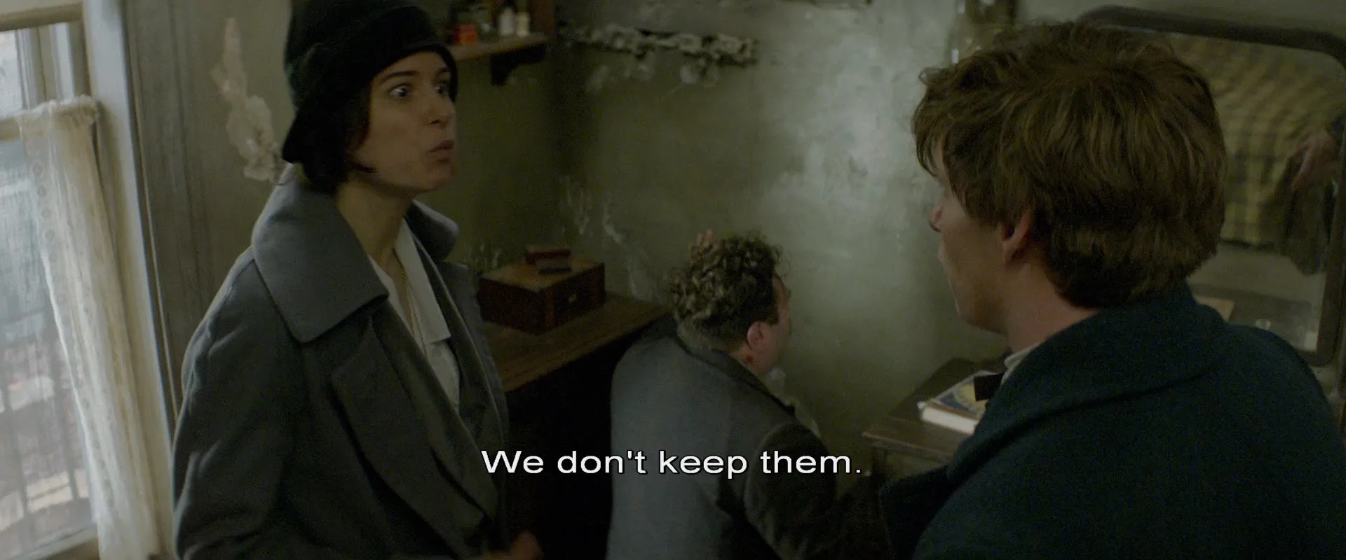 Fantastic Beasts and Where to Find Them 2016 Dual Audio (Hindi) 480p Bluray [300MB] Screenshot