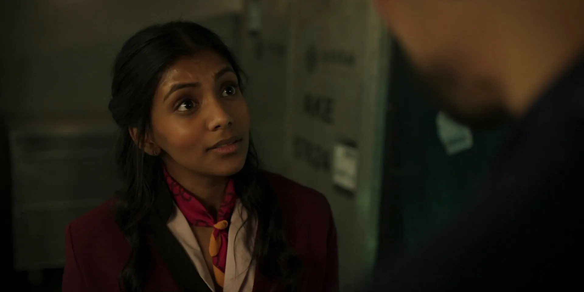 Fight or Flight 2025 Hindi Dual Audio WEB-DL 720p - 480p - 1080p Screenshot