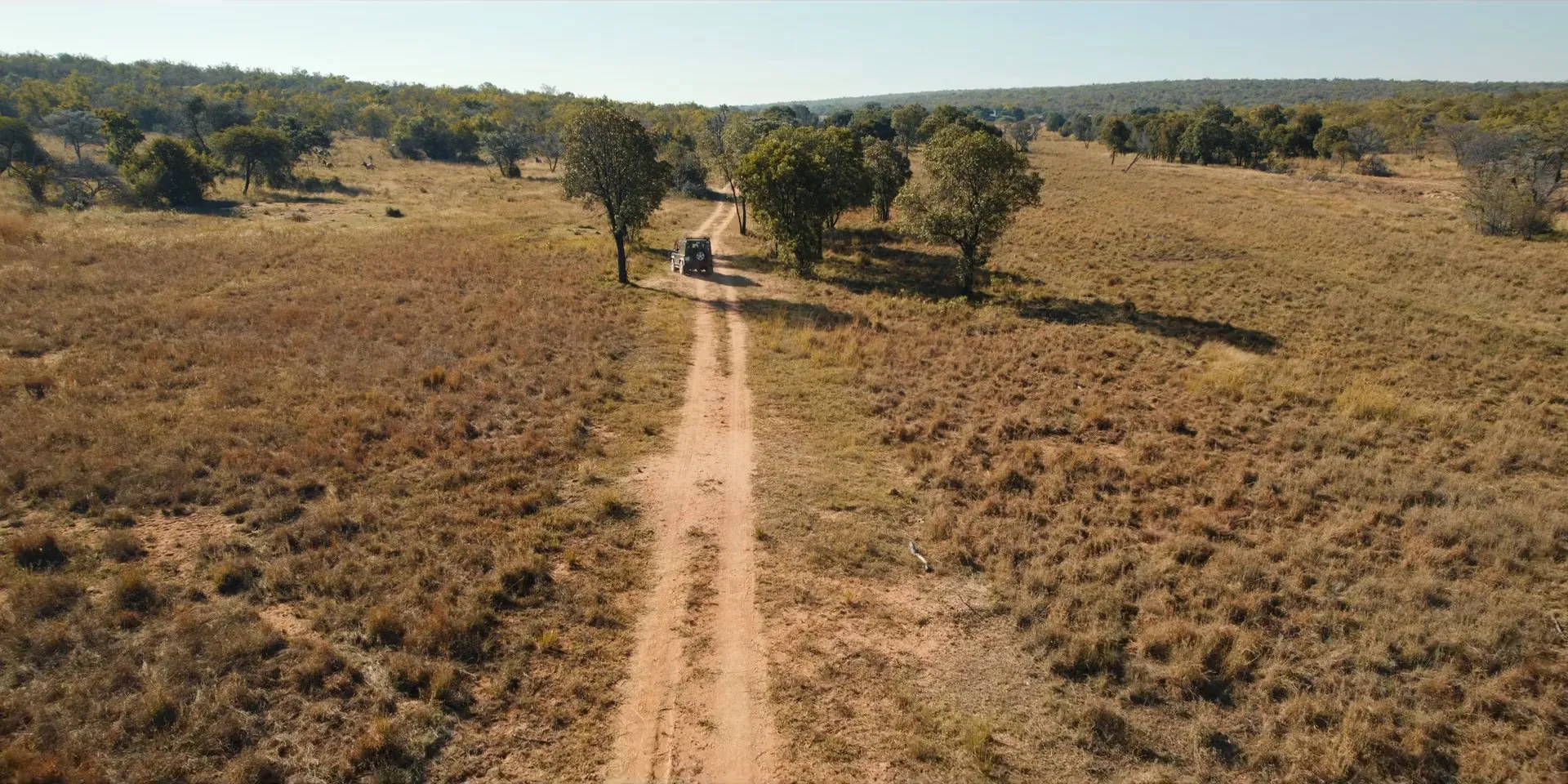Pangolin: Kulu’s Journey 2025 Hindi Dual Audio WEB-DL 720p - 480p - 1080p Screenshot