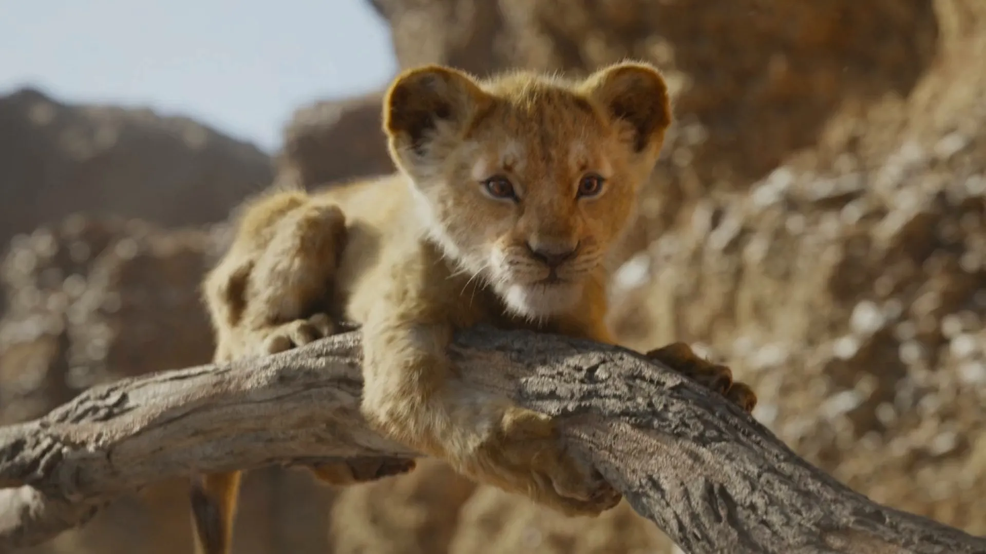The Lion King 2019 Hindi Dual Audio 1080p - 720p - 480p Screenshot