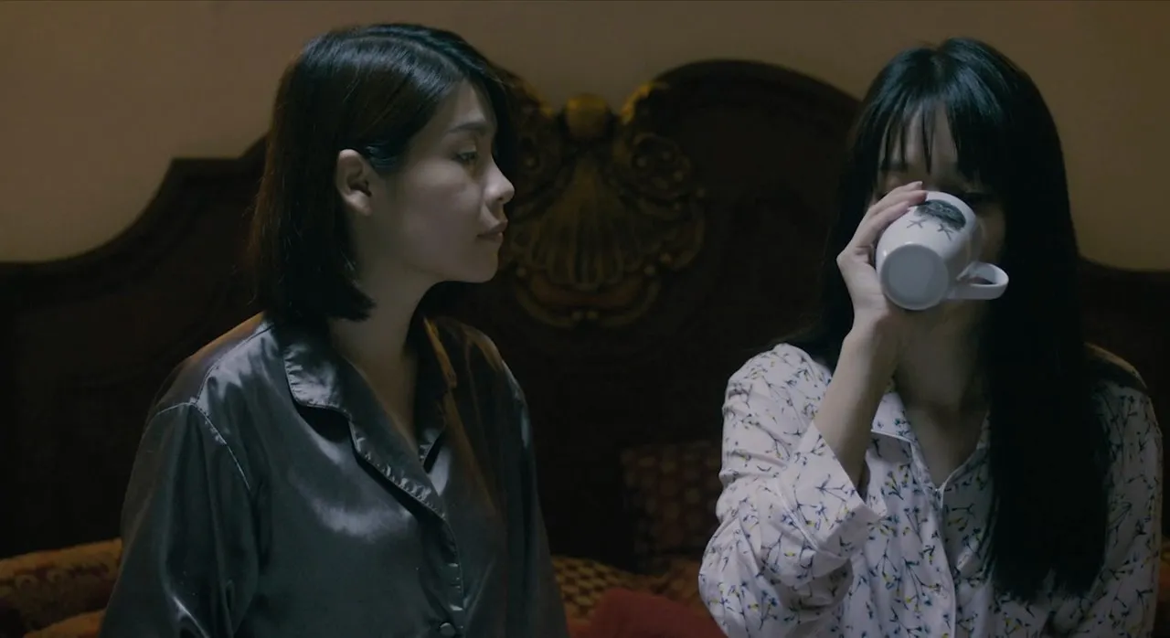 Two Sisters 2019 Hindi Dual Audio WEB-DL 720p - 480p Screenshot