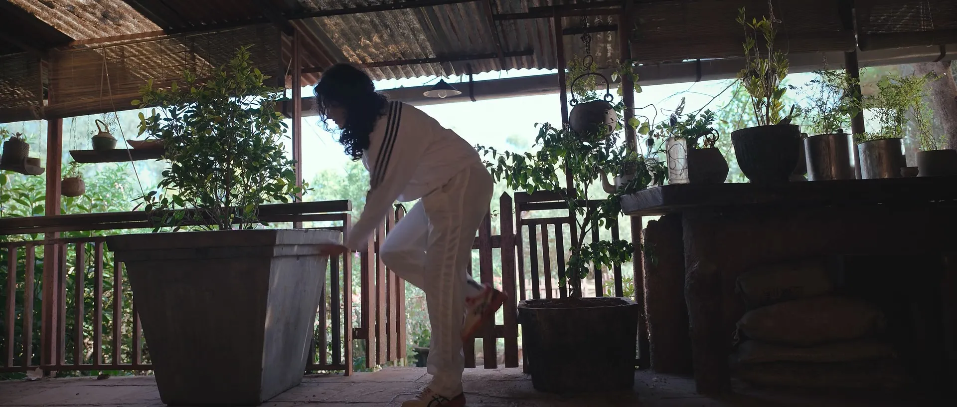 Ghoomer 2023 Hindi WEB-DL 1080p - 720p - 480p Screenshot