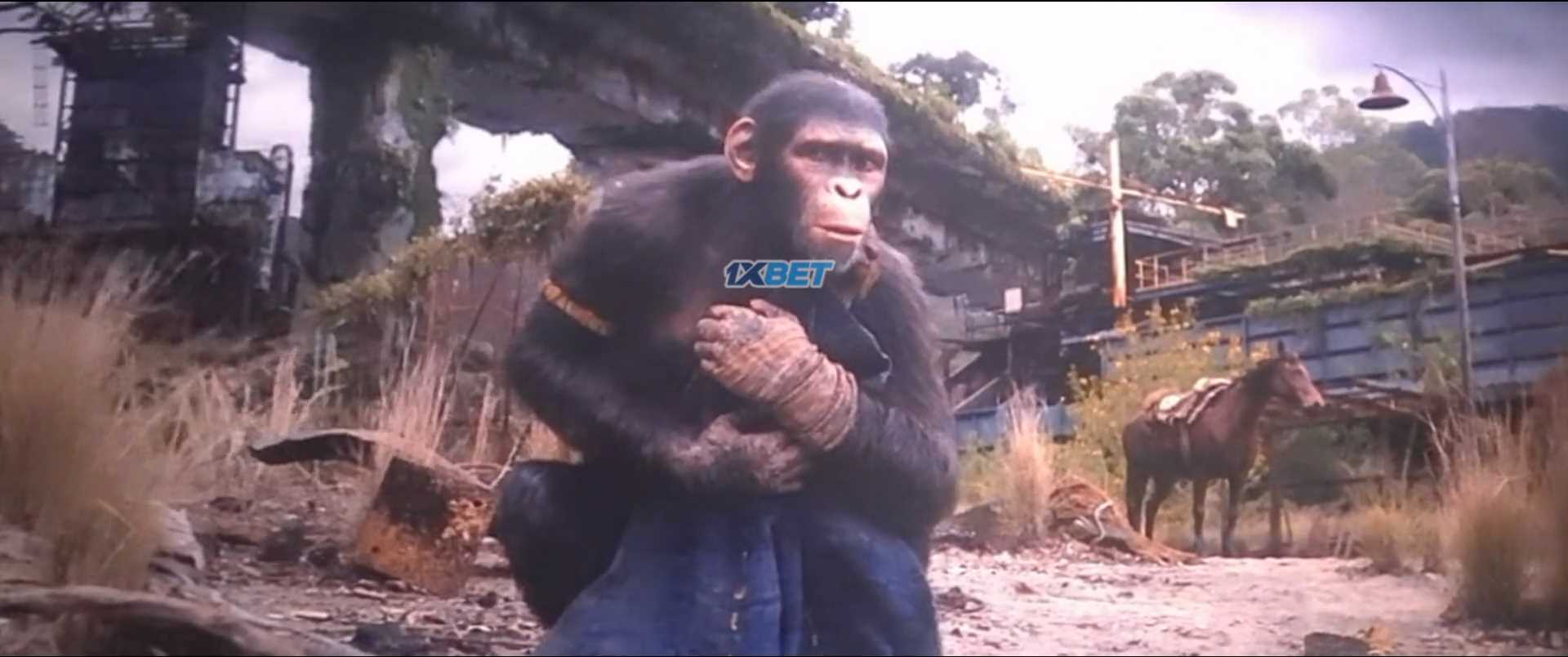 Kingdom of the Planet of the Apes 2024 Hindi CAMRip 1080p Screenshot