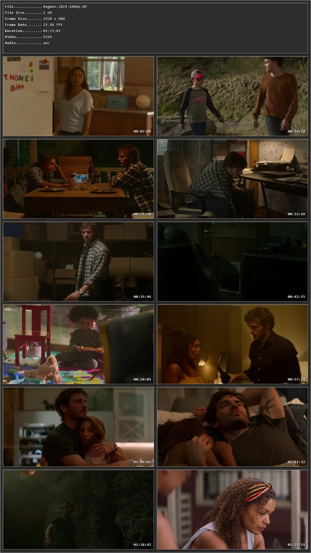 Bagman (2024) Hindi Dual Audio HDRip 1080p – 720p – 480p Screenshot