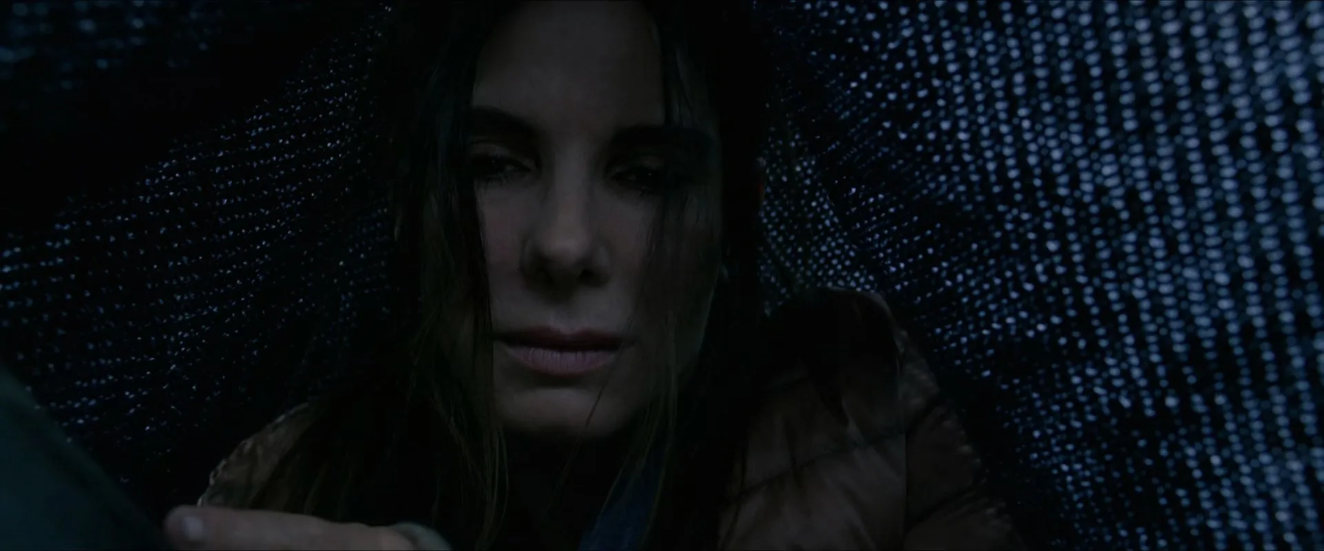 Bird Box 2018 Hindi (HQ DUBBED) Dual Audio 720p WehRip [1.1GB] Screenshot