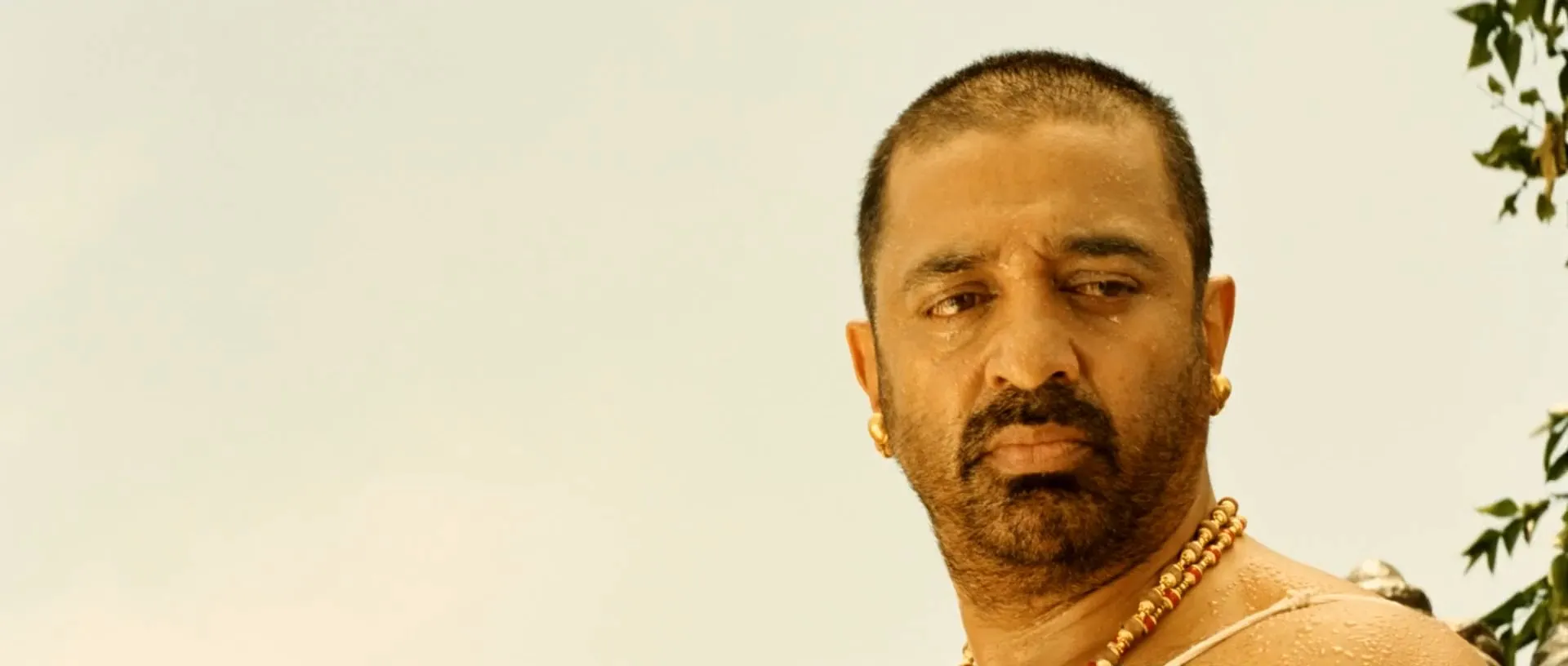 Dasavatharam (2008) (Hindi – Telugu) Dual Audio 480p UnCut HDRip 400MB Screenshot