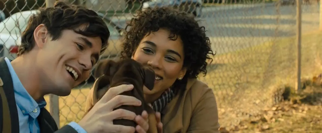 A Dogs Way Home (2019) Hindi Dual Audio 720p Web-DL [900MB] Screenshot
