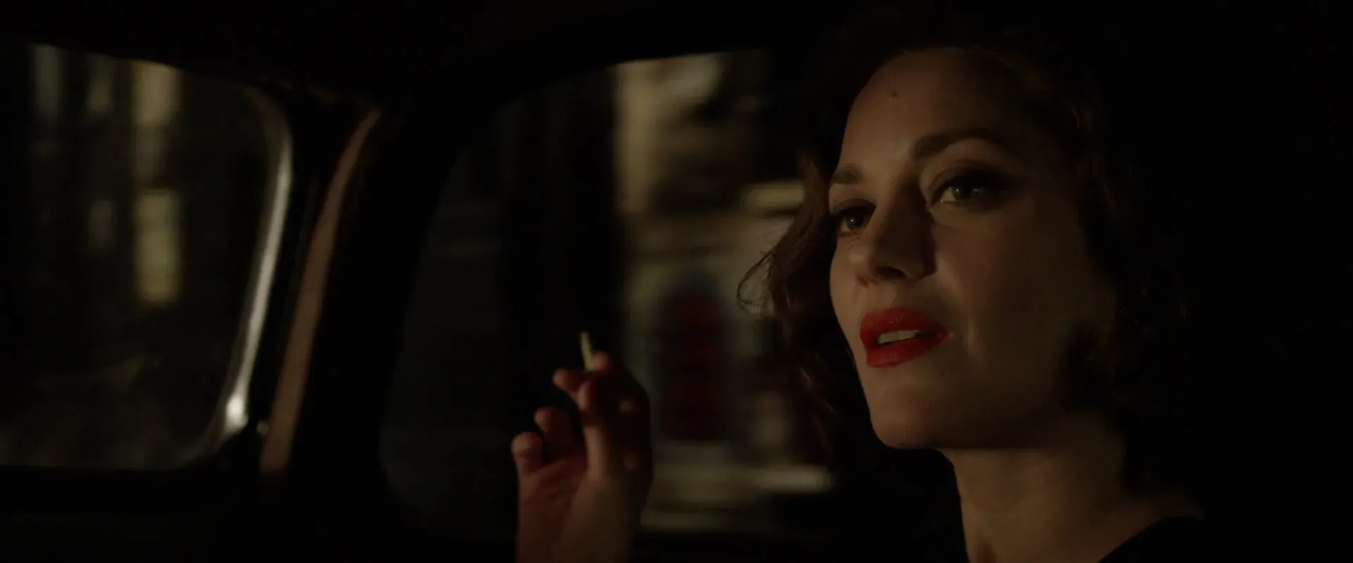 Allied 2016 Hindi Dual Audio 480p BluRay 400MB Screenshot