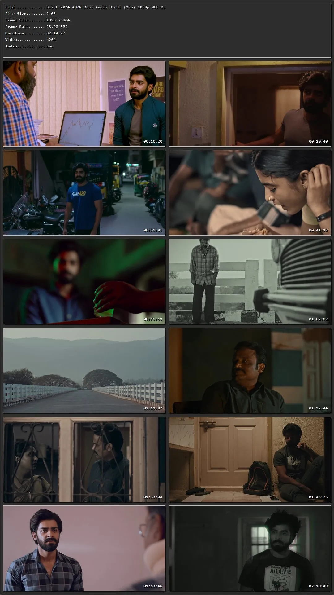 Blink 2024 Hindi Dual Audio HDRip 1080p – 720p – 480p Screenshot
