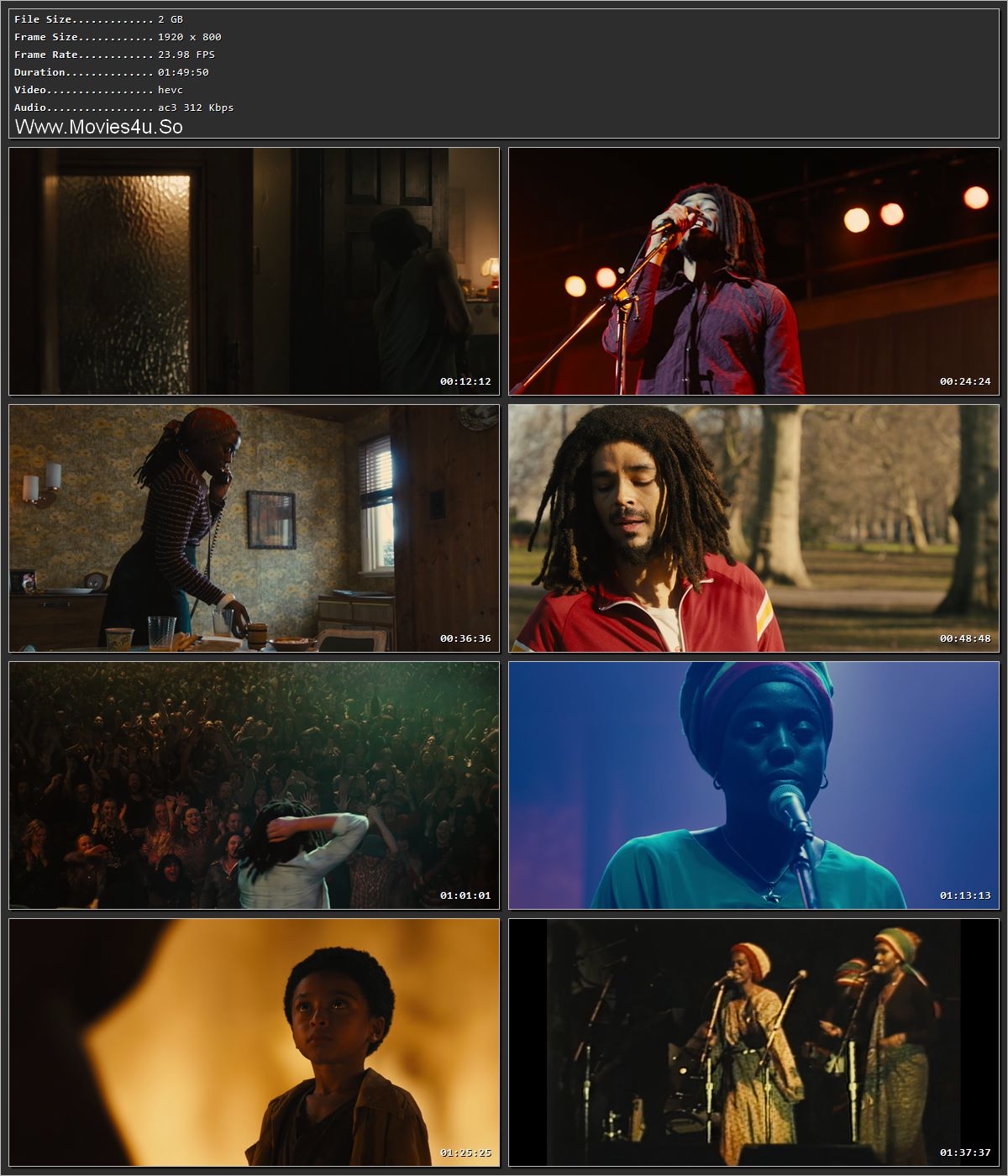 Bob Marley: One Love 2024 Hindi Dual Audio HDRip 1080p – 720p – 480p Screenshot