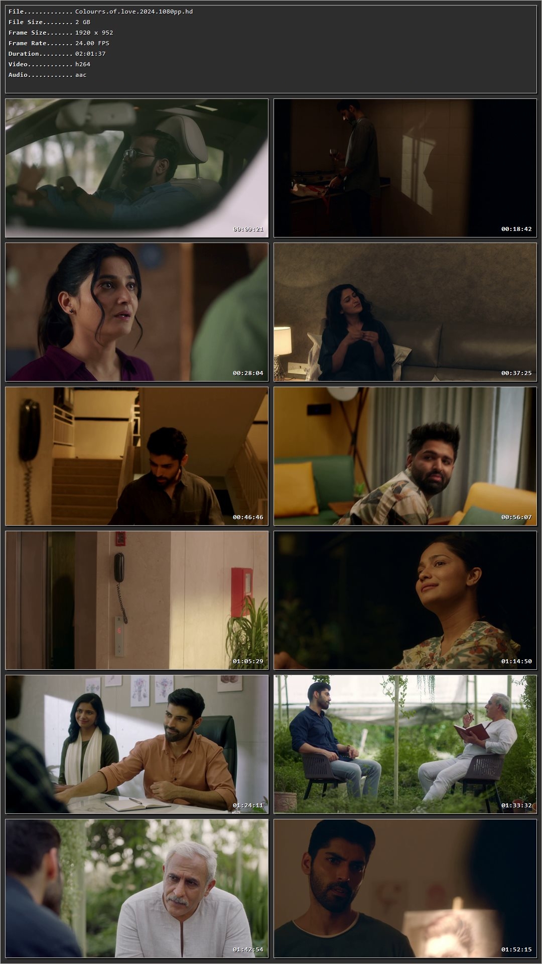 Colours of Love (2024) Hindi HDRip 720p - 480p - 1080p Screenshot