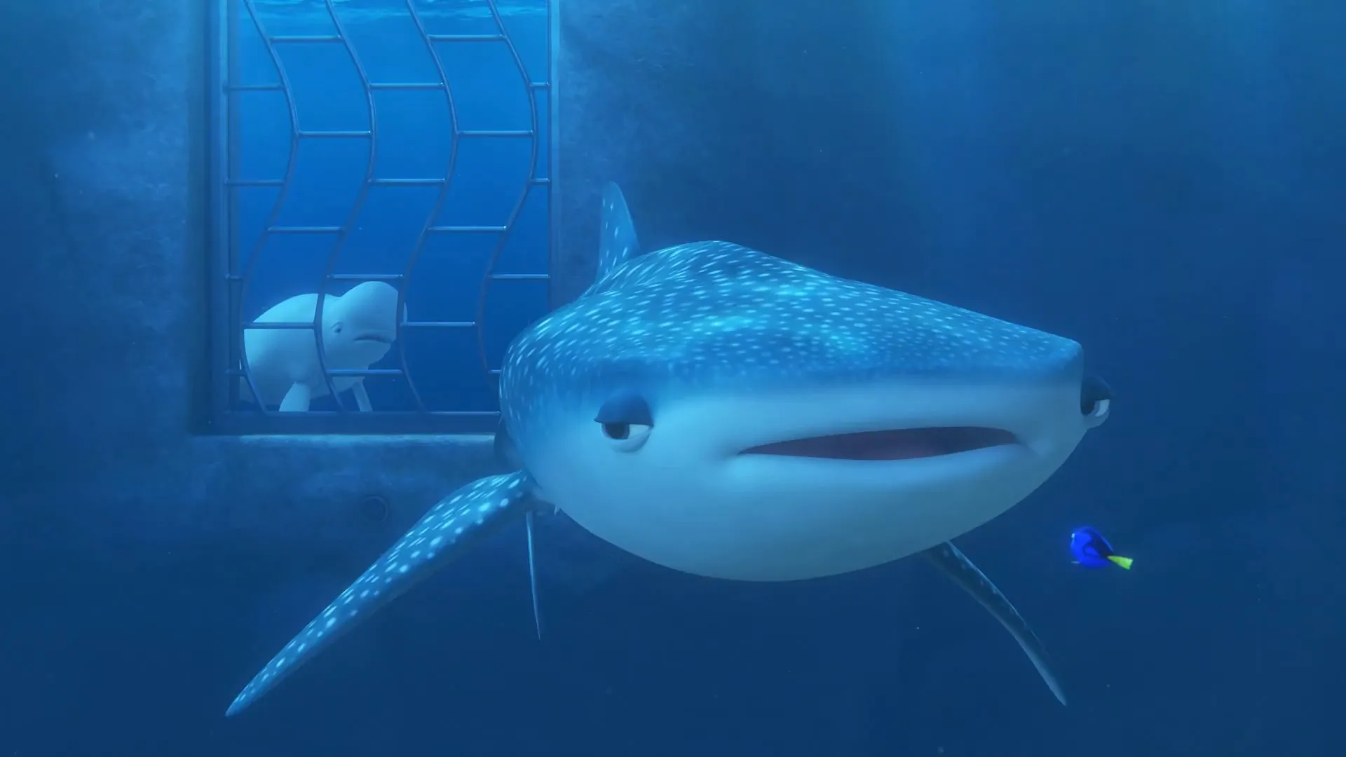 Finding Dory (2016) Hindi Dual Audio 720p BluRay [800MB] Screenshot