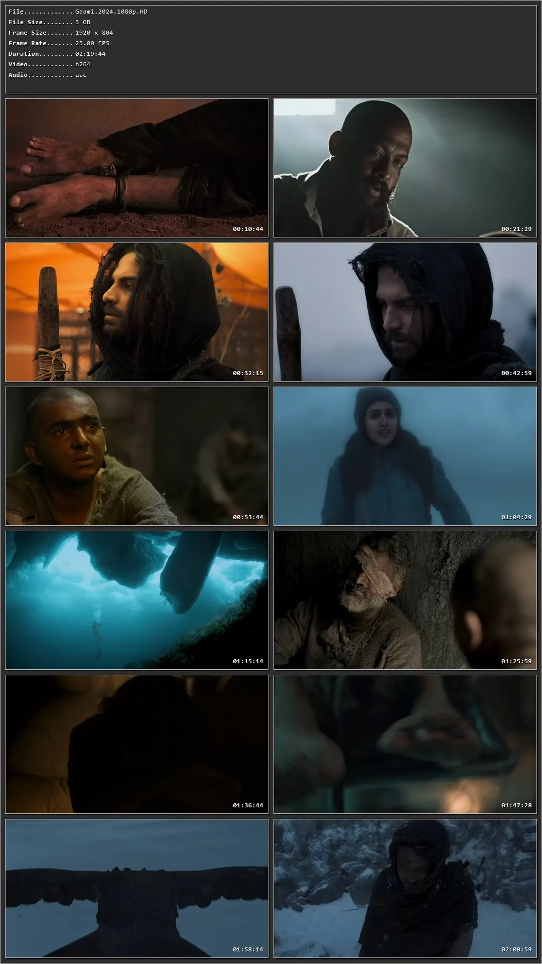 Gaami (2024) (Hindi – Telugu) HDRip 720p – 480p – 1080p Screenshot