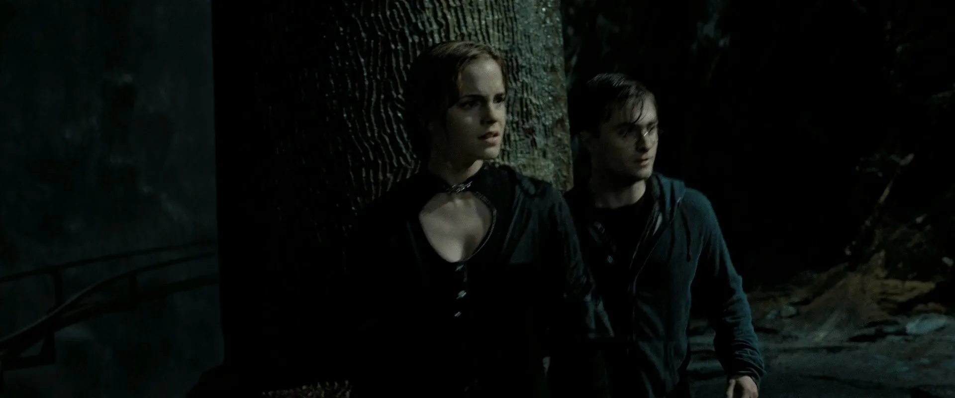 Harry Potter and the Deathly Hallows Part 2 (2011) Dual Audio [Hindi-Enlish] [140MB] Screenshot