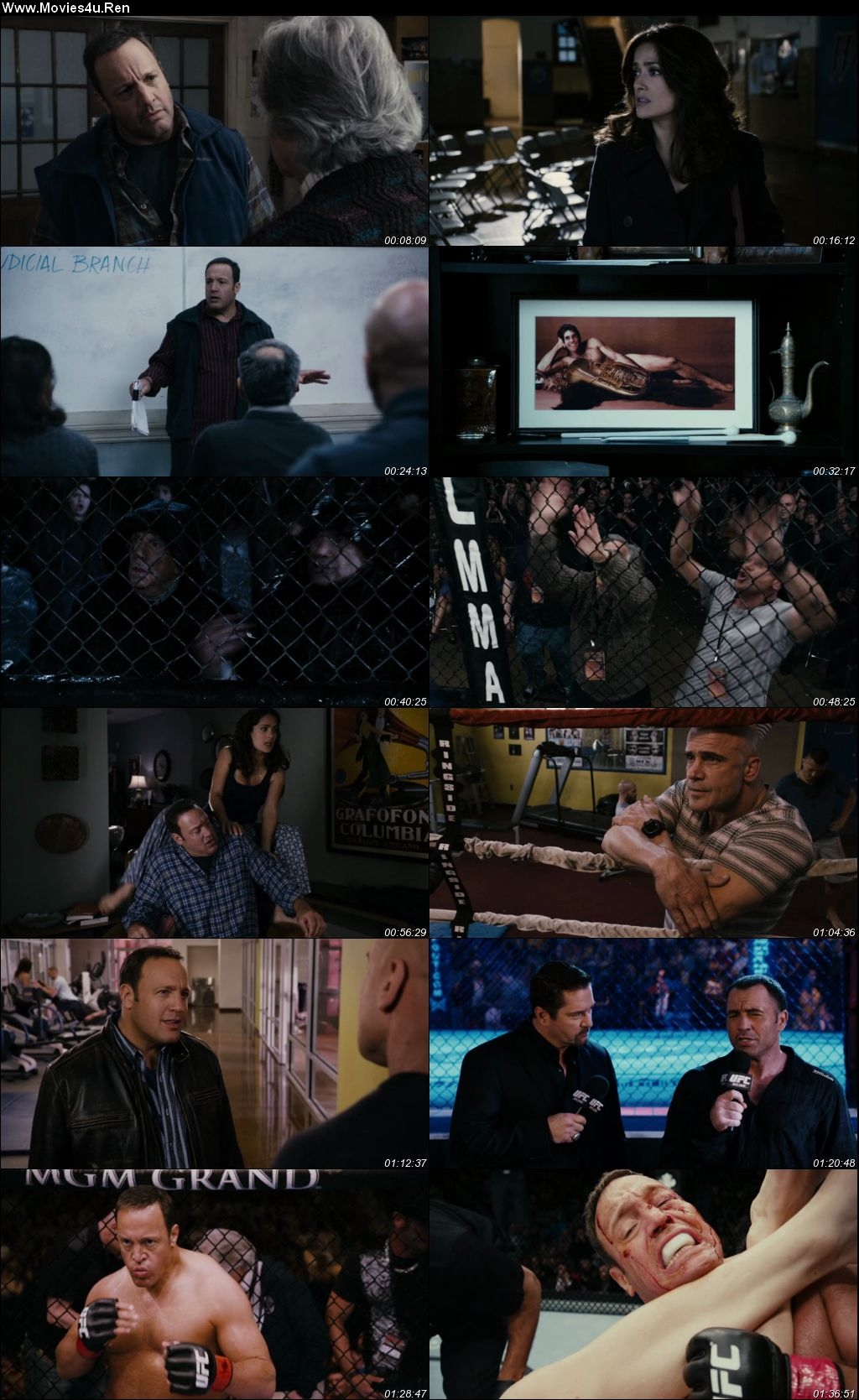 Here Comes the Boom 2012 Hindi Dual Audio HDRip 720p – 480p Screenshot