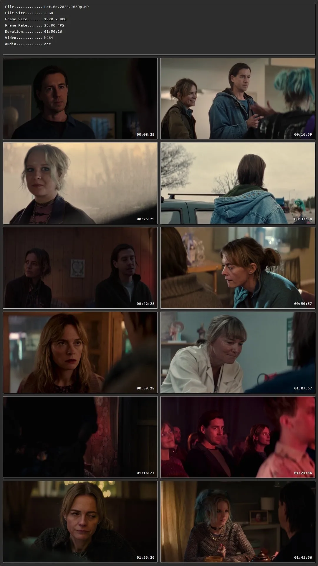 Let Go (2024) Hindi Dual Audio HDRip 1080p – 720p – 480p Screenshot
