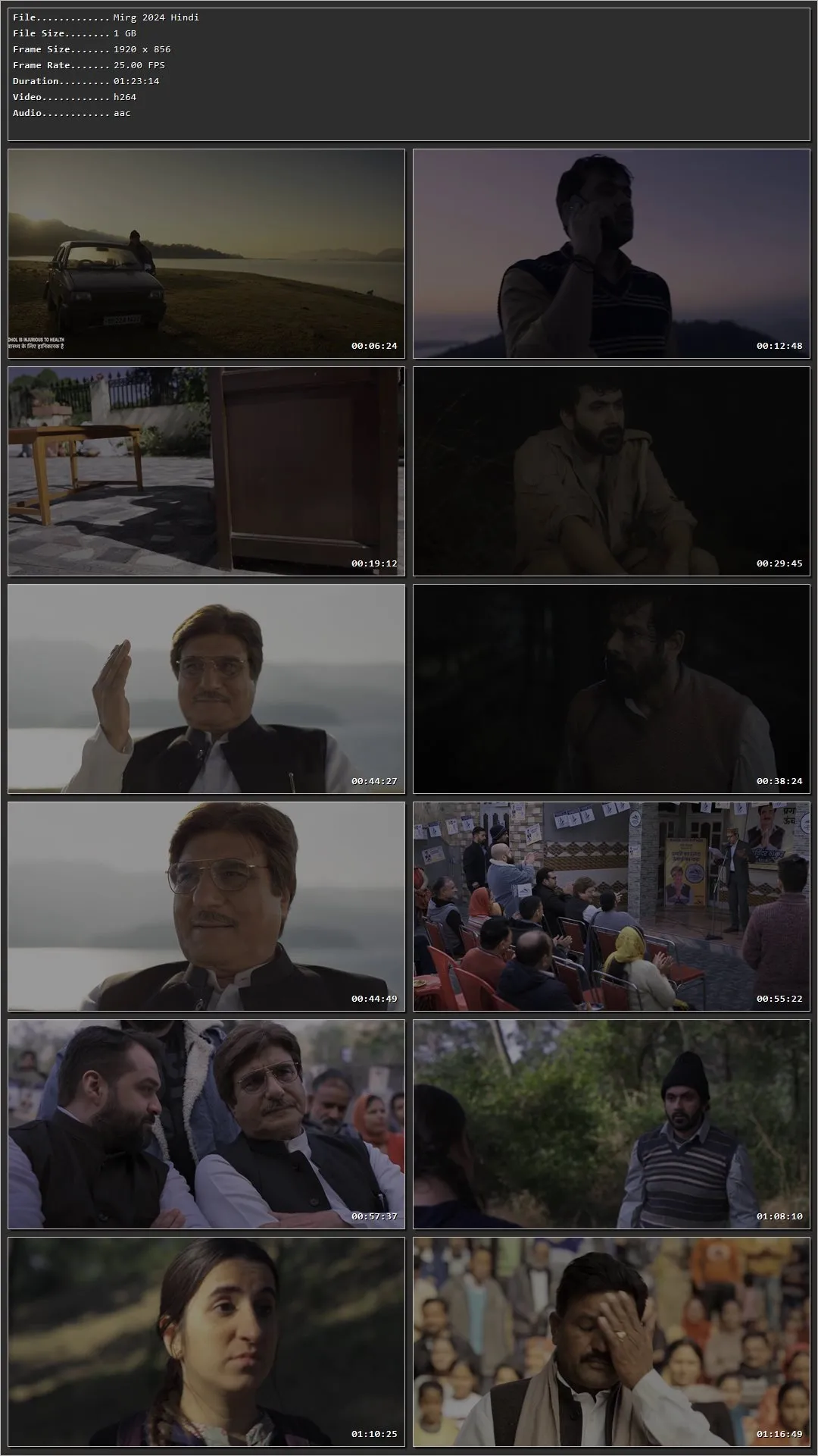 Mirg 2024 Hindi HDRip 720p – 480p – 1080p Screenshot