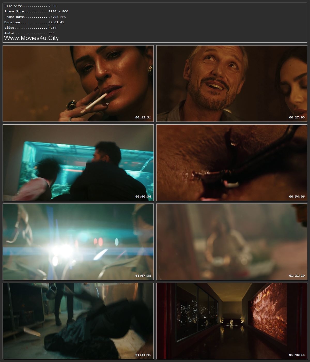 Monkey Man (2024) ENGLISH HDRip – 720p – 480p – 1080p Screenshot