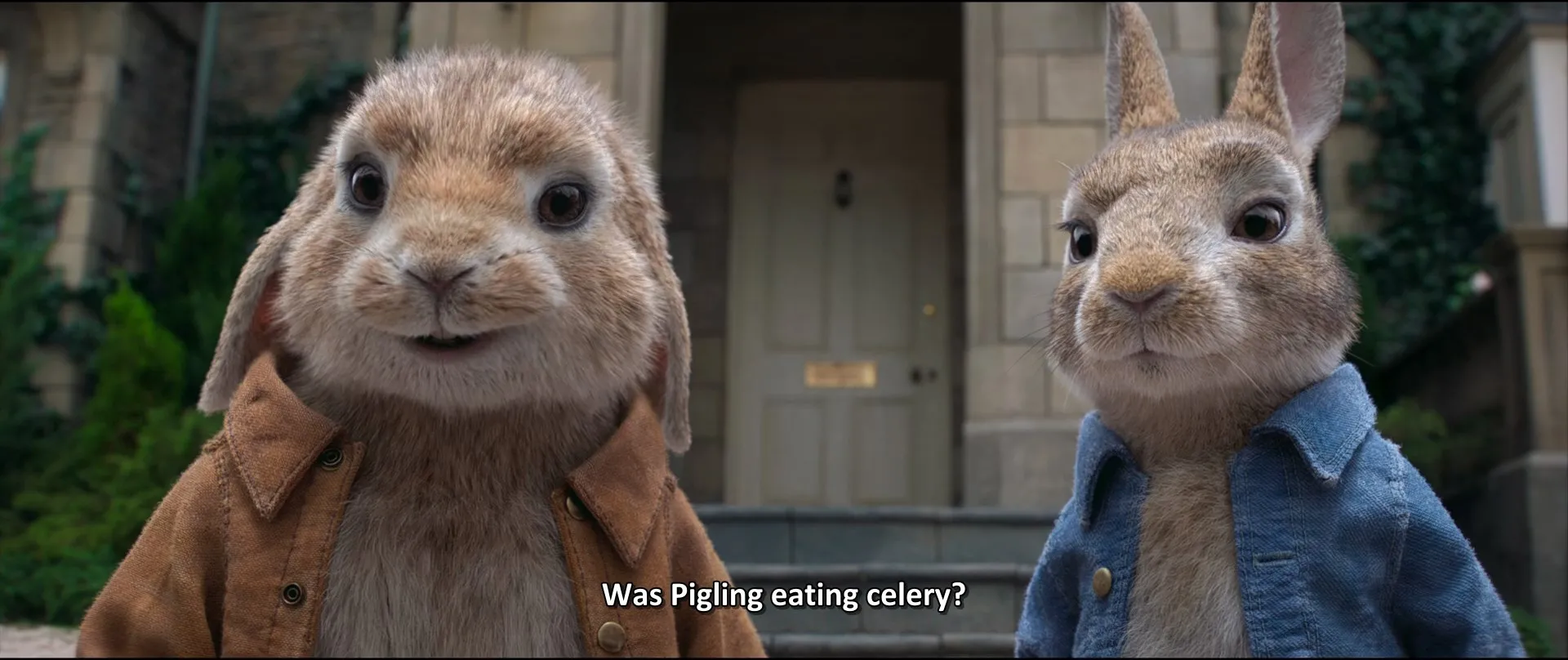 Peter Rabbit (2018) Hindi Dual Audio 480p BluRay 390MB Screenshot