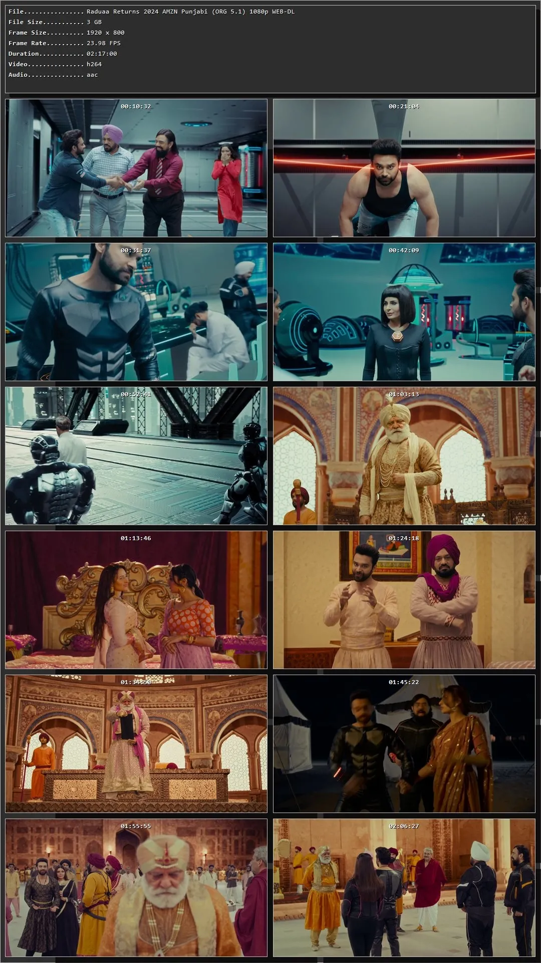 Raduaa Returns 2024 Punjabi HDRip 720p – 480p – 1080p Screenshot