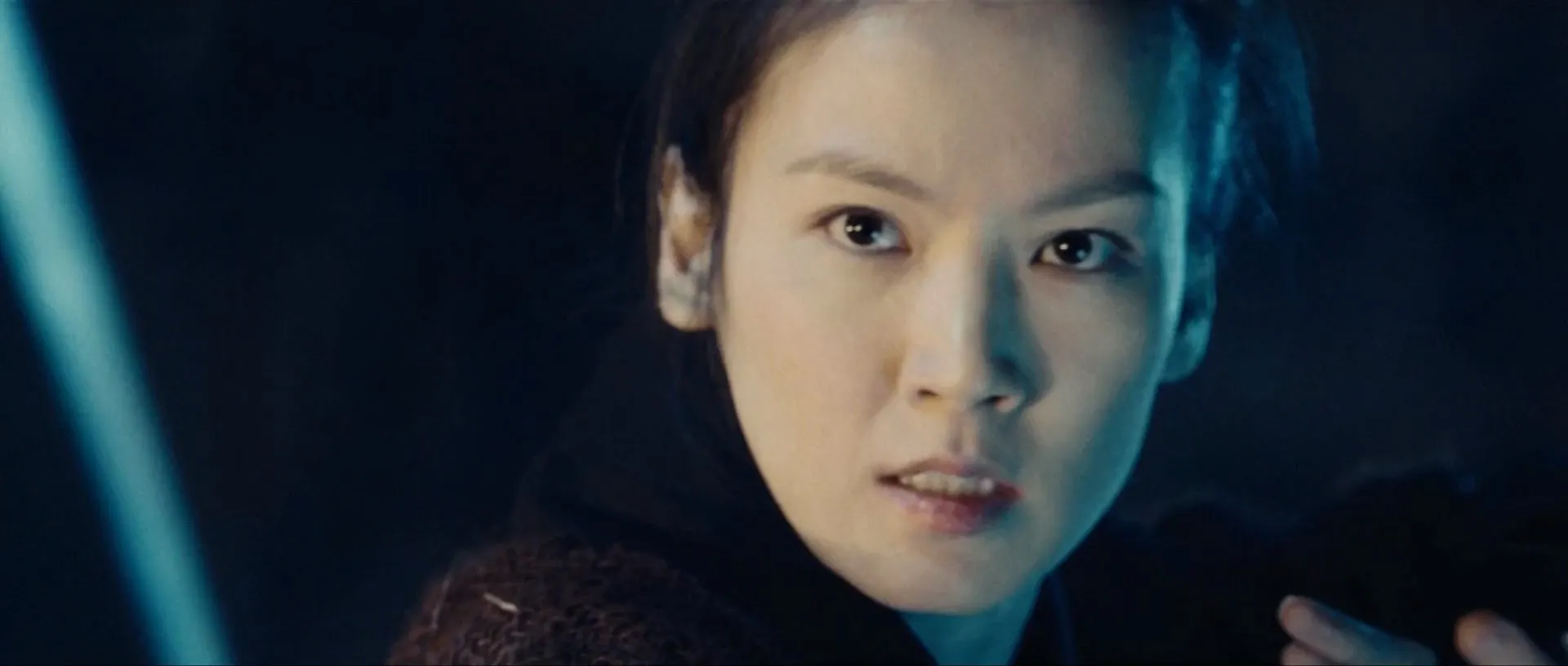 Reign Of Assassins (2010) Hindi Dual Audio 720p BluRay [1GB] Screenshot