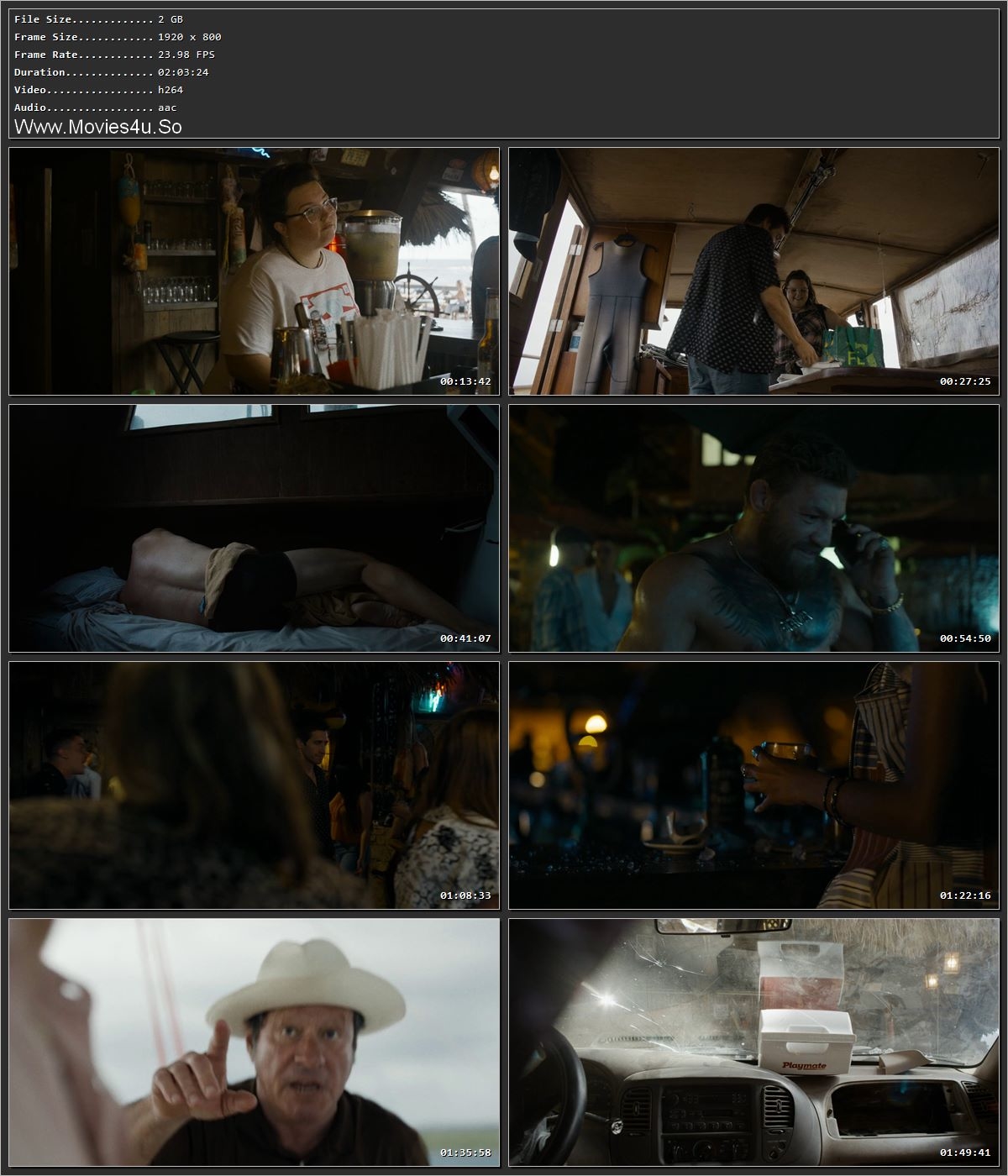 Road House (2024) Hindi Dual Audio HDRip 1080p – 720p – 480p Screenshot