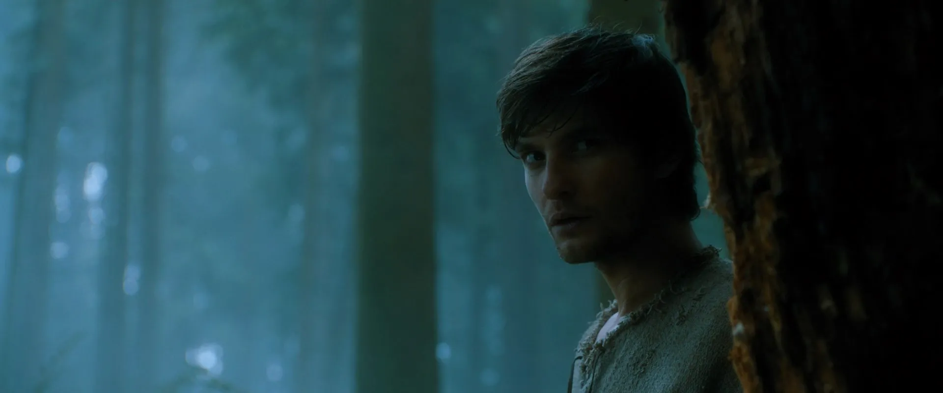 Seventh Son (2014) Hindi Dual Audio 720p BluRay [900MB] Screenshot