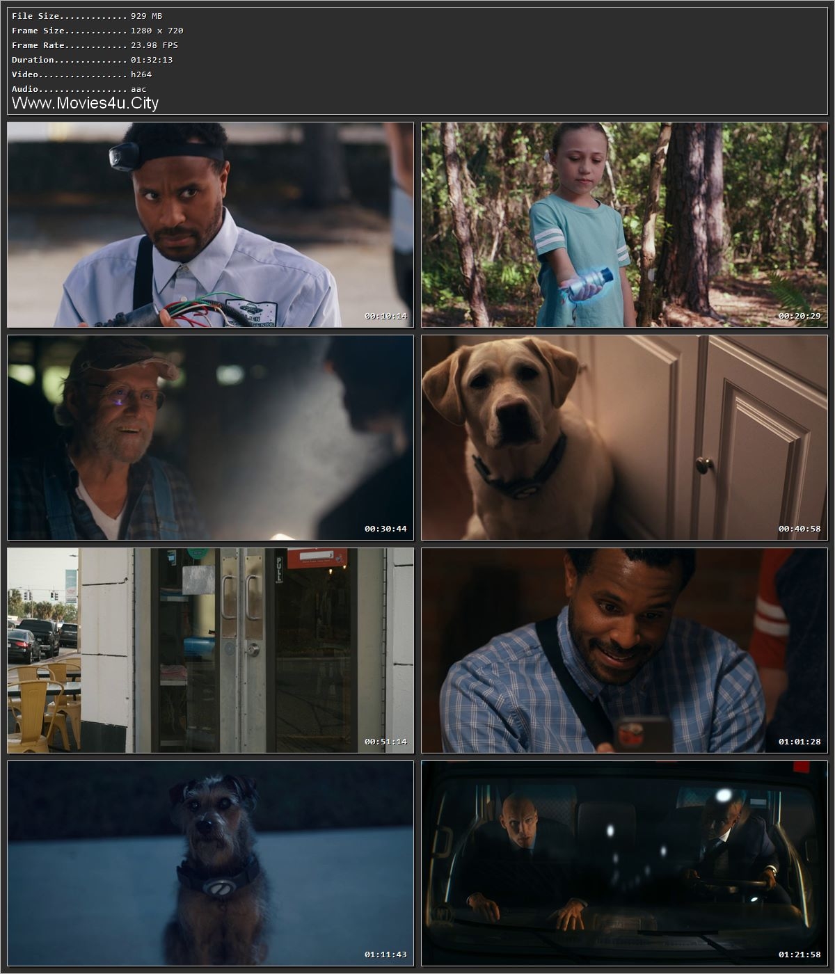 Space Pups (2023) Hindi Dual Audio HDRip 1080p – 720p – 480p Screenshot