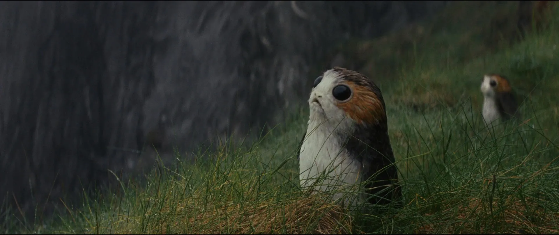 Star Wars The Last Jedi 2017 Hindi ORG Dual Audio Movie 720p Hevc [650MB] ESubs Screenshot