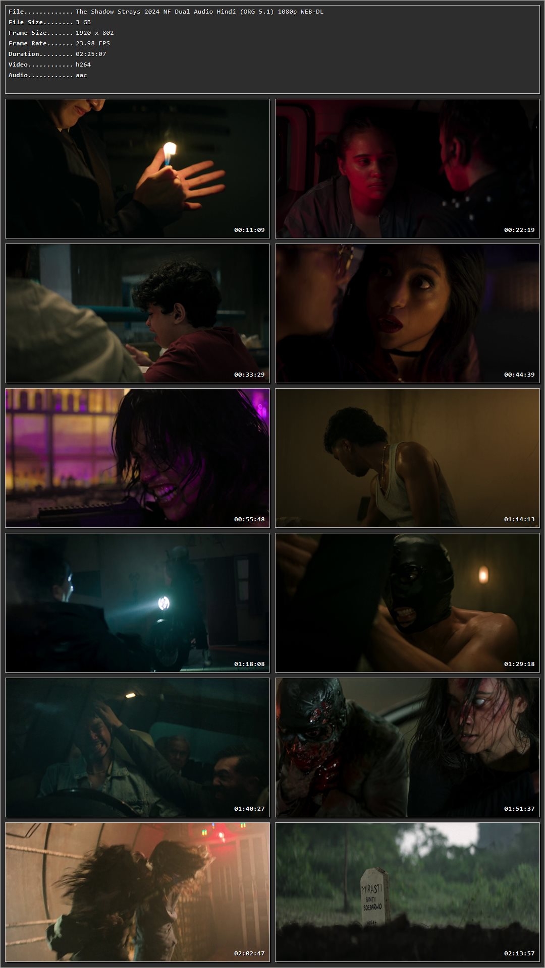 The Shadow Strays 2024 Hindi Dual Audio HDRip 1080p – 720p – 480p Screenshot