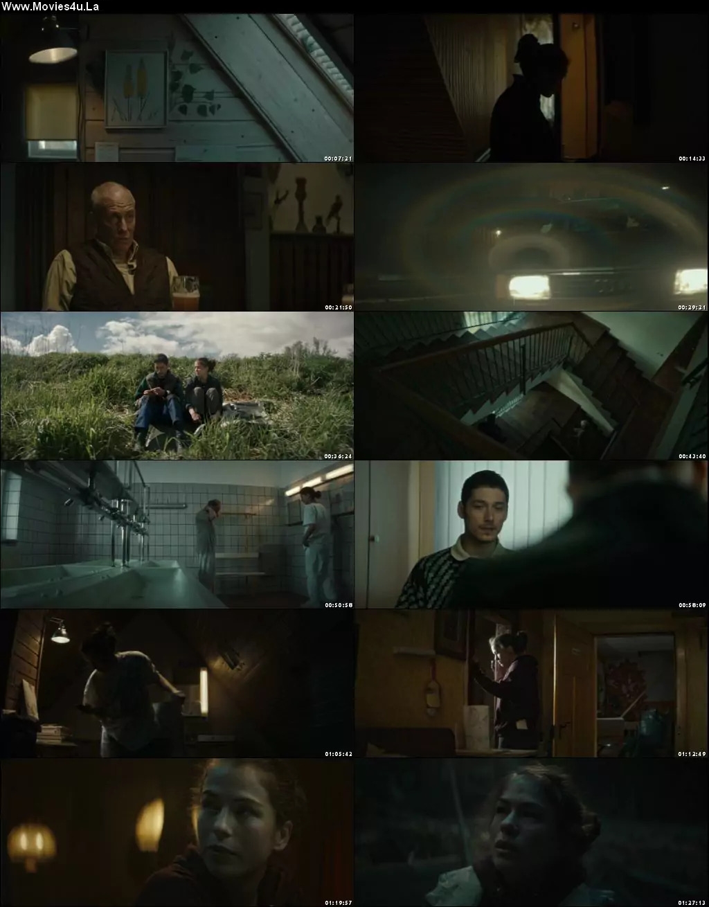 The Silent Forest 2022 Hindi Dual Audio HDRip 720p – 480p Screenshot