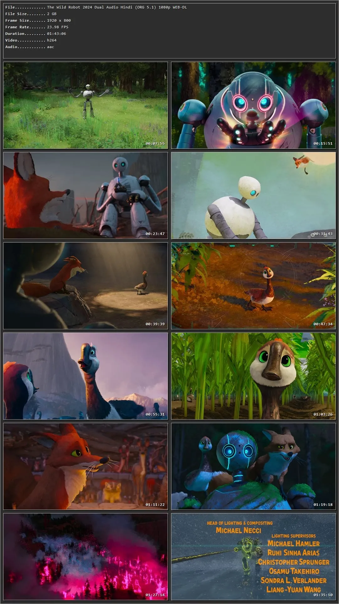 The Wild Robot (2024) Hindi (Org) Dual Audio HDRip 1080p – 720p – 480p Screenshot