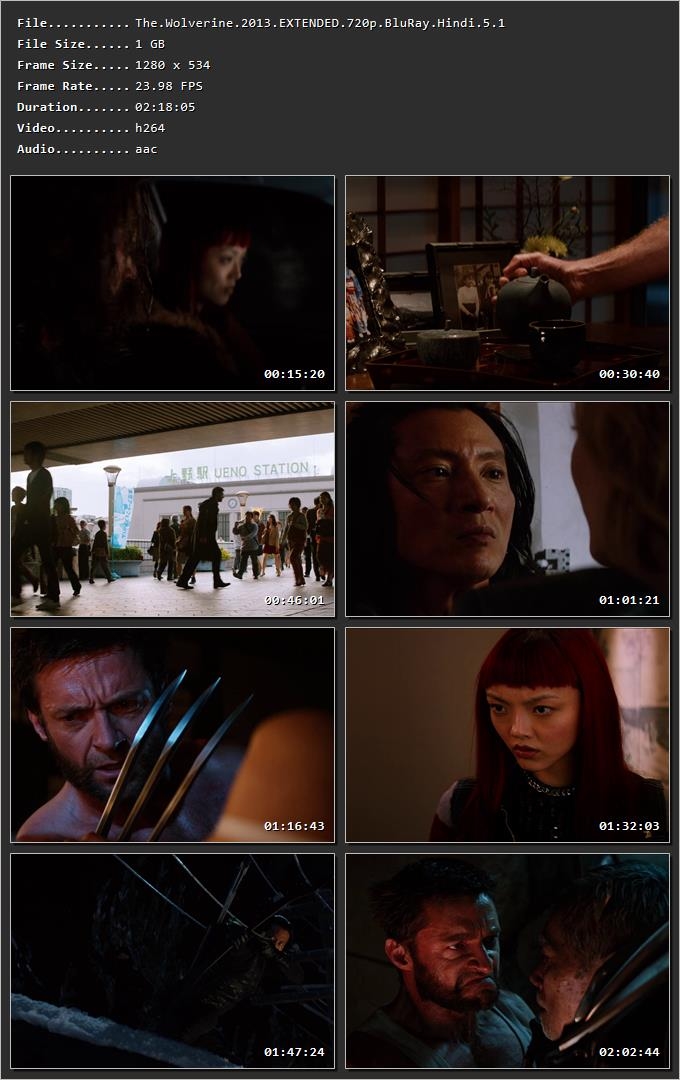 The Wolverine (2013) Hindi Dual Audio HDRip 1080p – 720p – 480p Screenshot