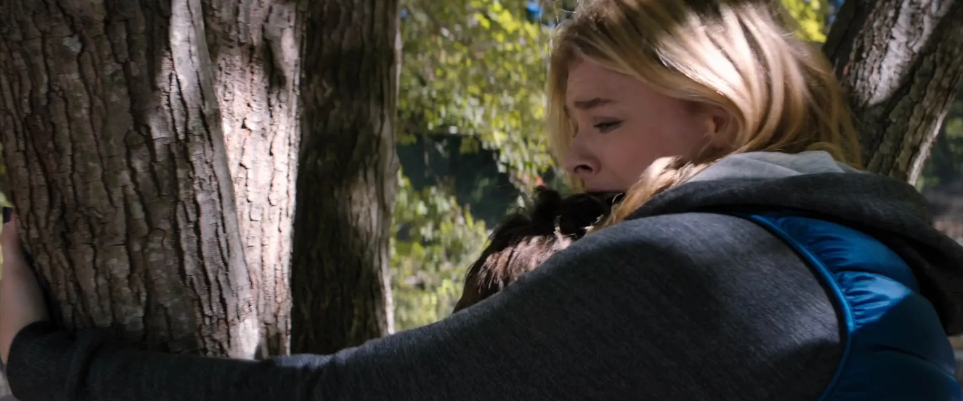 The 5th Wave (2016) Hindi Dual Audio 720p BluRay [1GB] Screenshot