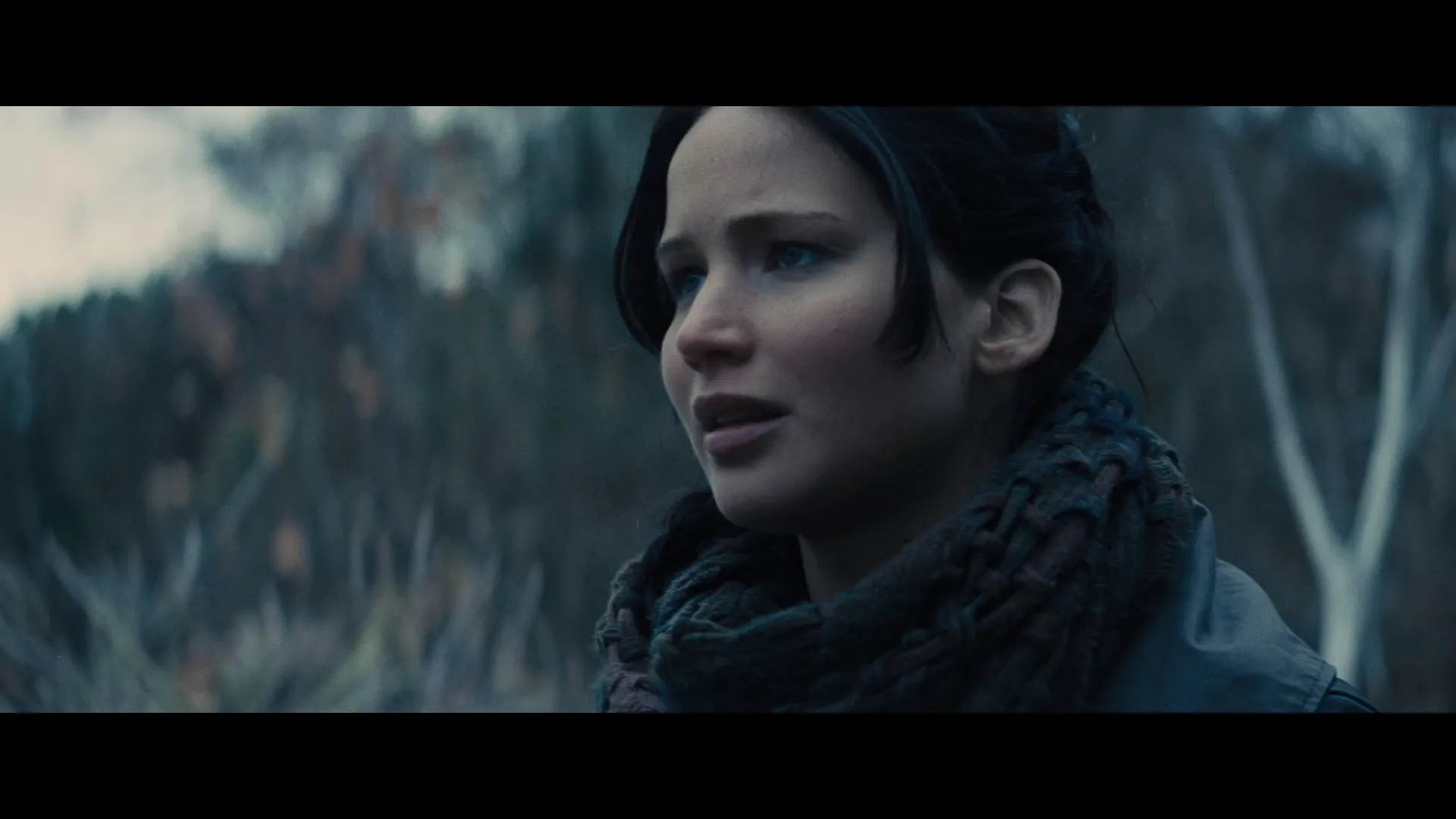 The Hunger Games Catching Fire 2013 Hindi Dual Audio 720p BluRay [1.1GB] Screenshot
