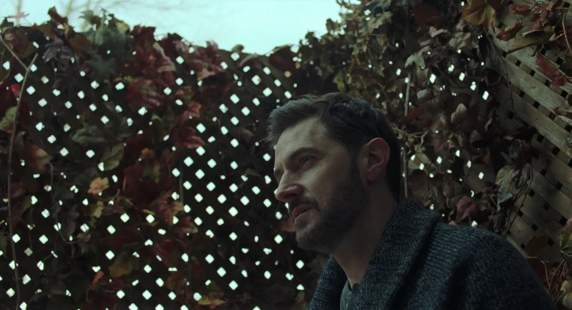The Lodge (2019) Hindi Dual Audio 720p BluRay [1GB] Screenshot