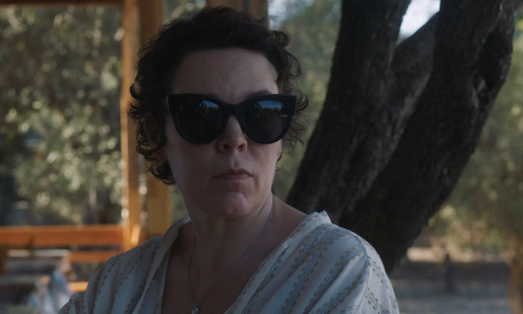 The Lost Daughter 2021 Hindi Dual Audio HDRip 720p – 480p Screenshot