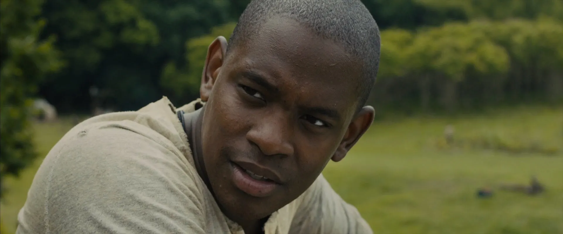 The Maze Runner (2014) Hindi Dual Audio 480p BluRay 400MB Screenshot