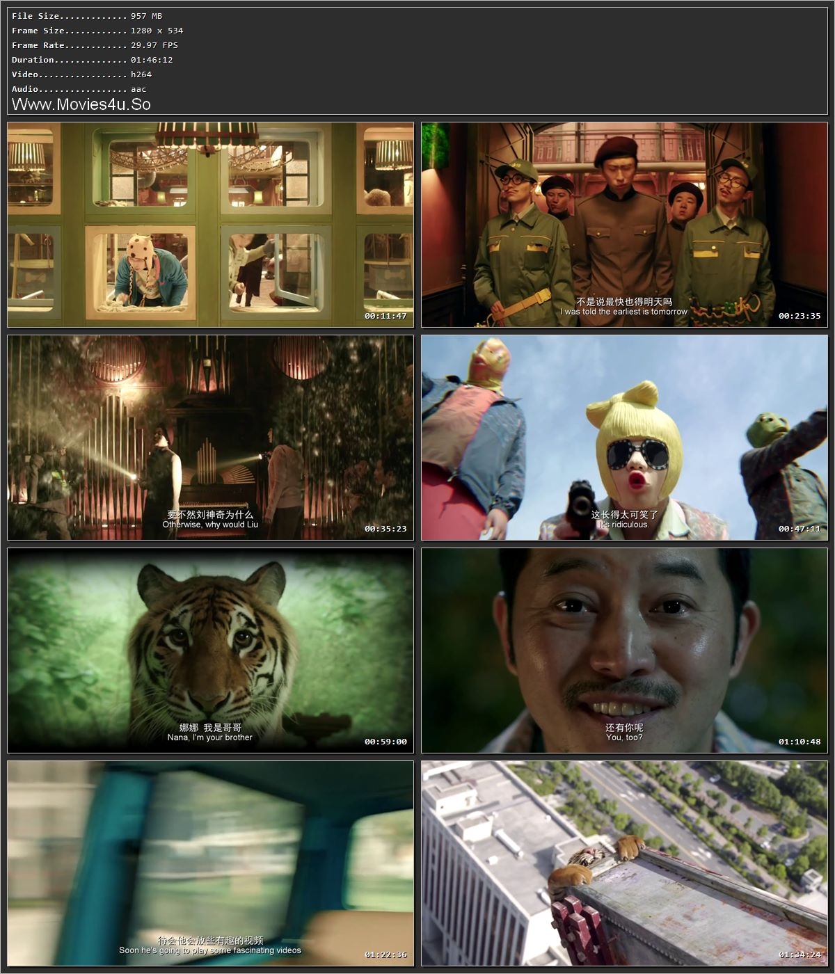 Tiger Robbers (2021) Hindi Dual Audio HDRip 720p – 480p Screenshot
