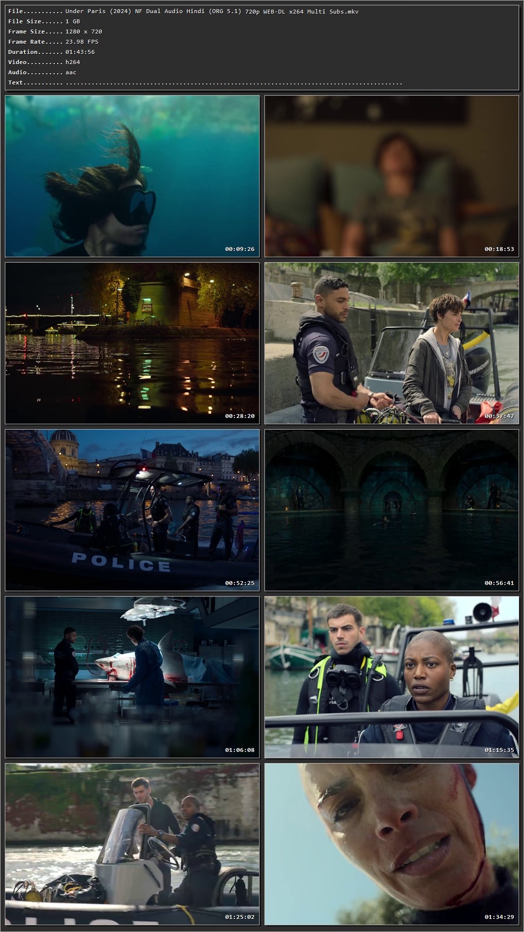 Under Paris 2024 Hindi Dual Audio HDRip 1080p – 720p – 480p Screenshot