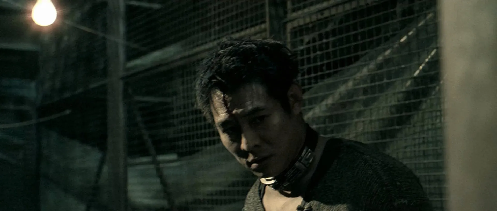 Unleashed (2005) Hindi Dual Audio 720p BluRay [1.1GB] Screenshot