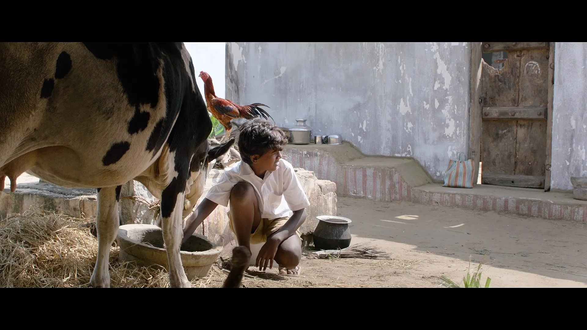Vaazhai (2024) (Hindi – Telugu) HDRip 720p – 480p – 1080p Screenshot