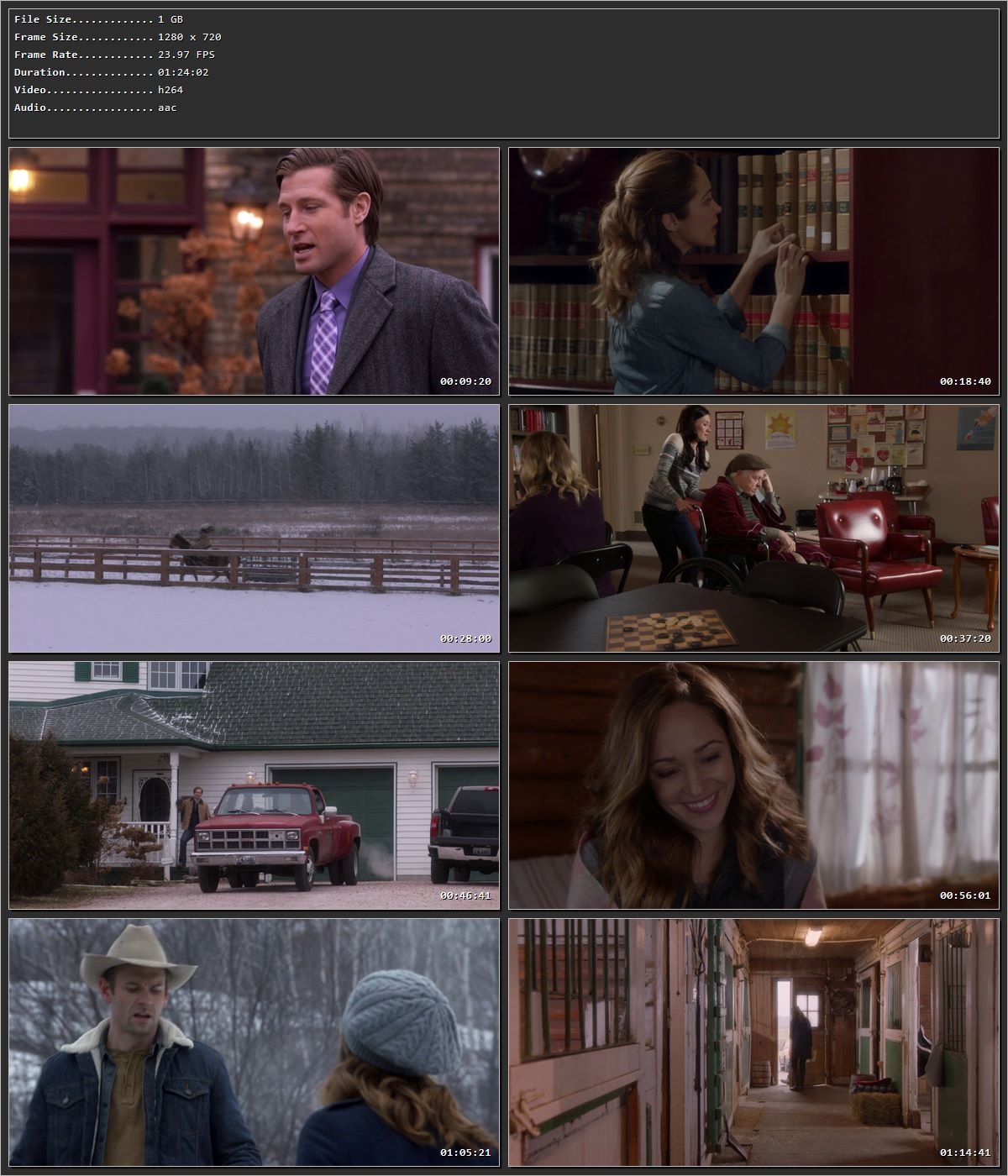 Valentine Ever After (2016) Hindi Dual Audio HDRip 720p – 480p Screenshot