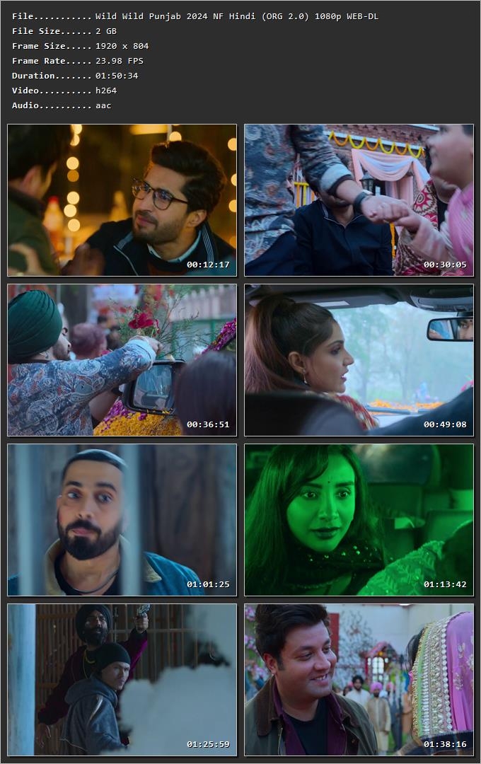 Wild Wild Punjab 2024 Hindi (ORG 5.1) HDRip 1080p – 720p – 480p Screenshot
