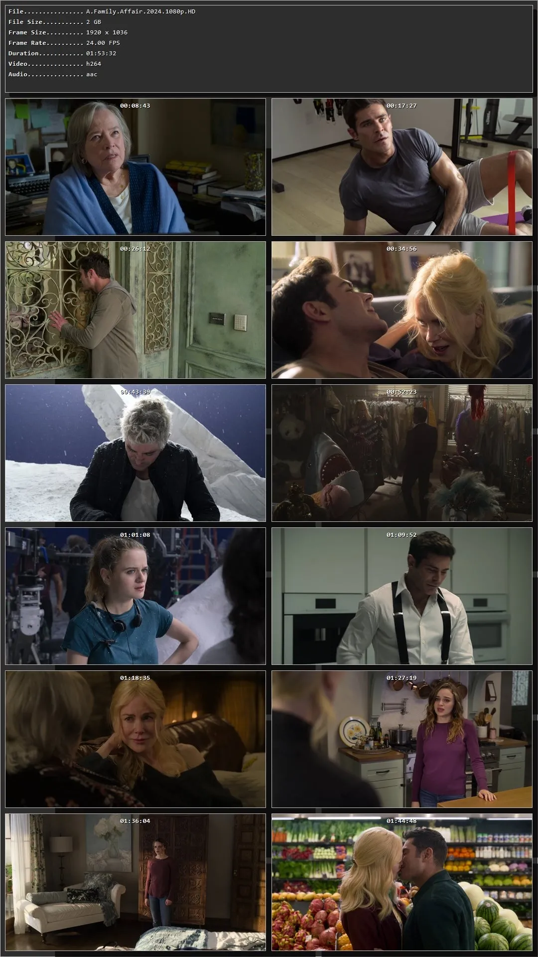 A Family Affair 2024 Hindi Dual Audio HDRip 1080p – 720p – 480p Screenshot